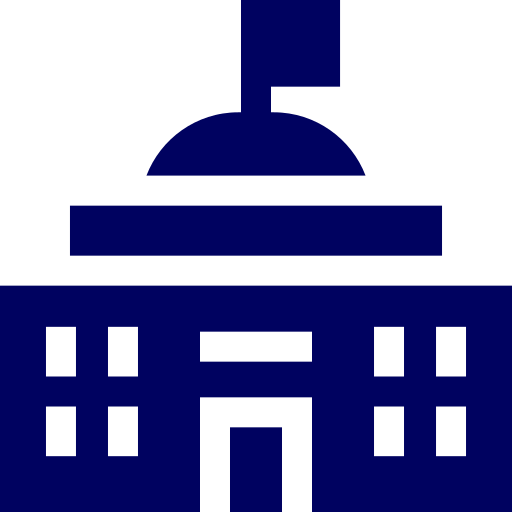 Government Sector icon